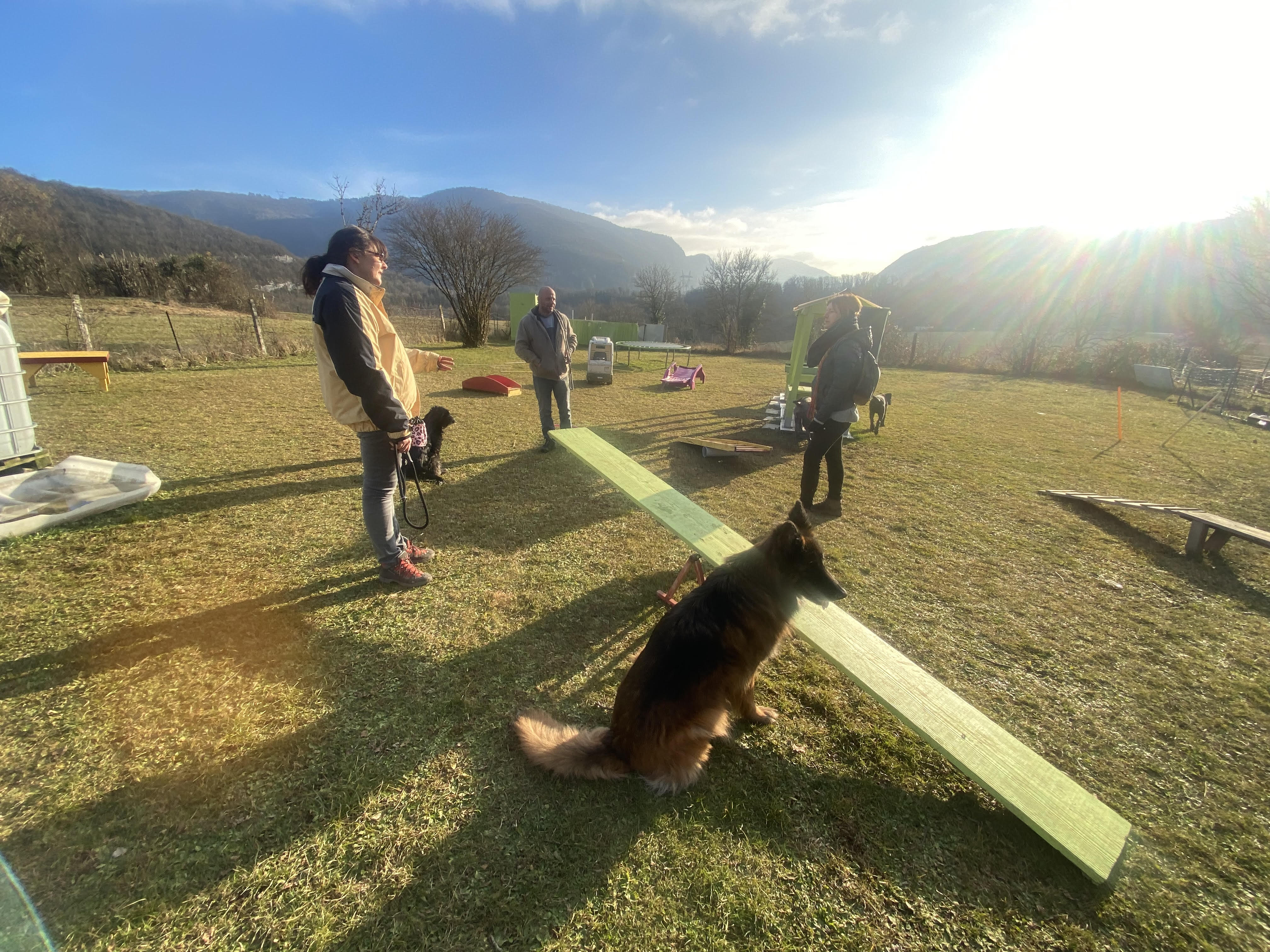 Séance en club canin